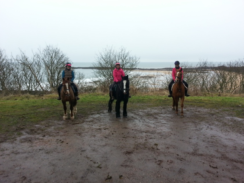 The three of us on the horses in front of the view